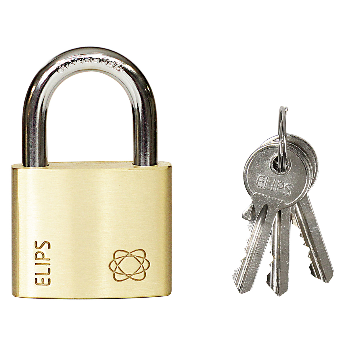 94826-8592218038224-d-rvelips40-2020 www 300 1200 12007